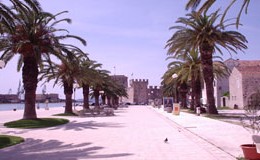 Trogir riva and palm trees